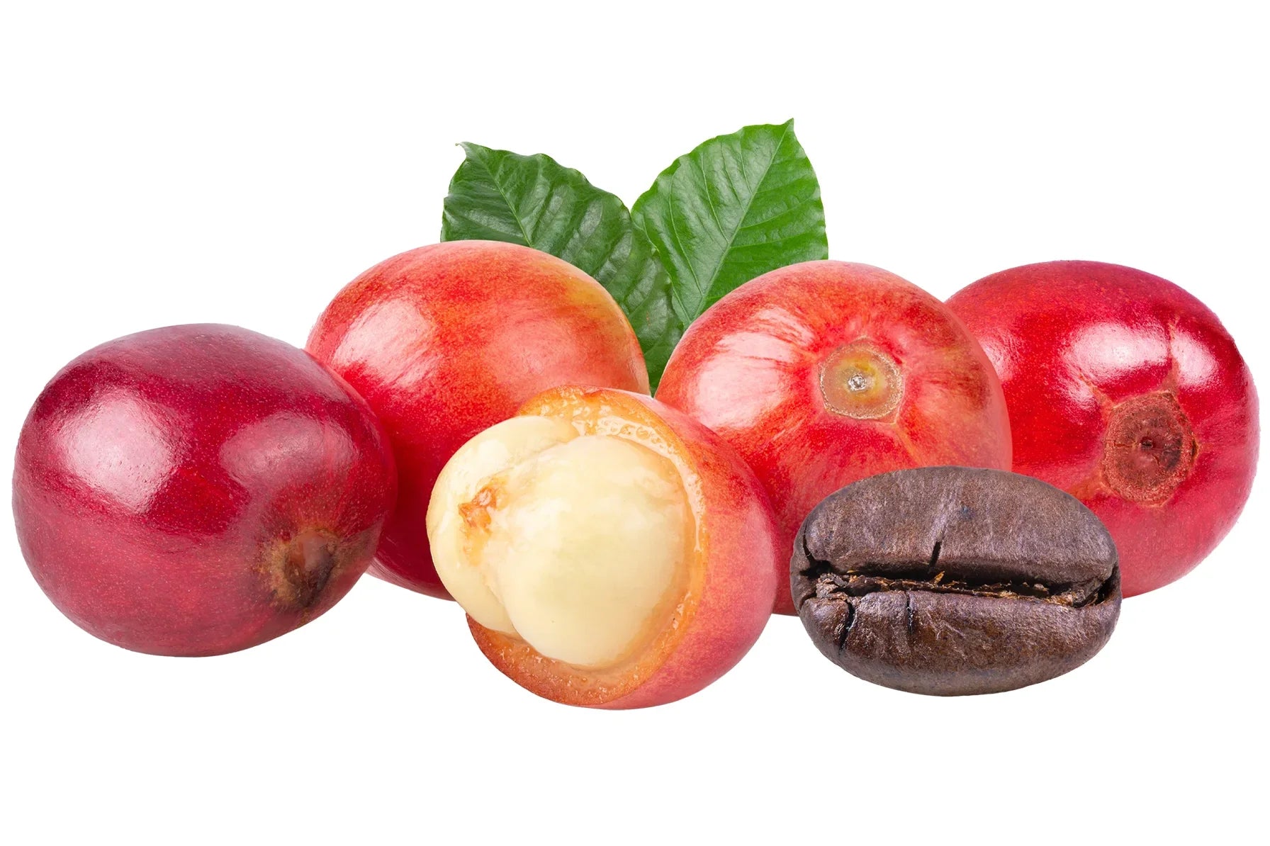 The Superfood Secret: Why Coffee Fruit is a Game-Changer